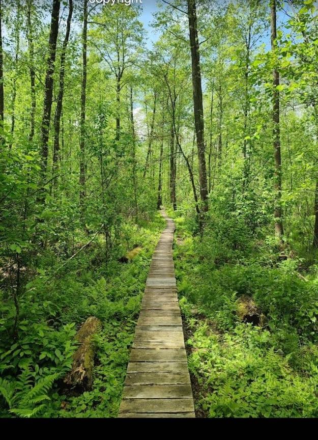 Poleski Park Narodowy